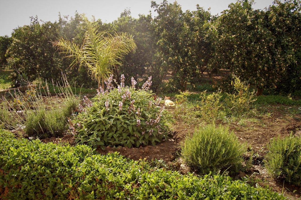 Il Giardino Del Sole Villa Agnone Bagni Exterior photo